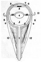 view M0004573: Optical diagram of the eye