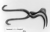 view M0004654: Curlew ligature forceps