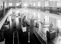view M0004493: Wellcome Historical Medical Museum, view of Hall of Statuary, Euston Road