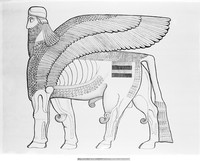 view M0004413: Drawing of winged Bull