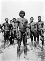 view M0005505: A group of Zulu men wearing penis sheaths, West Africa