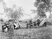 view M0005515: Group of Kenyah posing in the mode of attack, Borneo