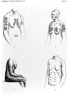view M0005574: Illustrations of tattoo designs seen during an expedition to the Torres Straits