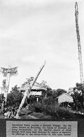 view M0005529: Sacrificial poles outside a Kenyah village