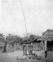 view M0005705: fever and smallpox remedy in an Ekoi village, Nigeria / M0005705EB: fever remedy in an Ekoi village, Nigeria