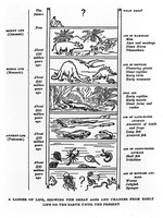 view M0005090: "A ladder of life": chart showing the great ages and changes from early life on the earth until the present