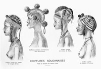 view M0005133: Illustration of four hairstyles worn by women in four regions of Mali