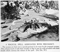 view M0005520: Ceremony associated with pregnancy / M0005521: "Rite of war magic", Melanesia