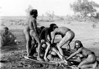 view M0005682EB: Operation of Subincision, Warrumanga Tribe, Central Australia
