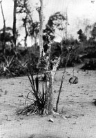 view M0005273: A suspended stone to prevent rain