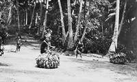 view M0005345: Men from the Duk-Duk secret society handing shell money to a dancer, Papua New Guinea.