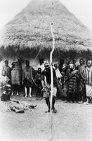 view M0005353: A man dancing with a ceremonial bow at a Poro festival, Sierra Leone