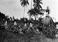 view M0005340: Masked figures from the Bismarck Archipelago, Papua New Guinea
