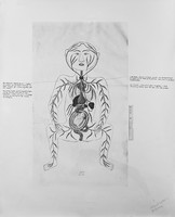 view M0005334: Anatomical illustration of the human viscera and a foetus in utero, Persian