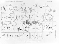 view M0004791: Drawings from Breuie's La Caverne d'Altamina, 1906