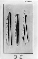 view M0004756: Greek and Roman Surgical Instruments