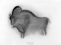 view M0004842: Drawing of a bison, from Font-de-Gaume