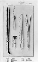 view M0004755: Greek and Roman Forceps-Surgical Instruments