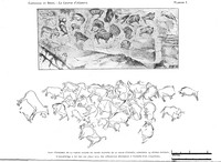 view M0004789: Plan of the ceiling from Breuie's La Caverne d'Altamina, 1906