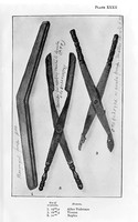 view M0004760: Greek and Roman Forceps-Surgical Instruments