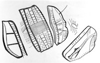 view M0004787: Tectiform symbols from Breuie's La Caverne d'Altamina, 1906