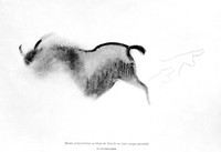 view M0004830: Drawing of bison and ox heads, from Font-de-Gaume