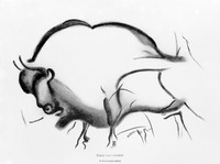 view M0004834: Line drawing of a bison, from Font-de-Game