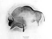 view M0004844: Drawing of a bison, from Font-de-Gaume