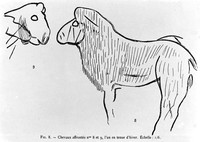 view M0004863: Line drawing of two horses, one with winter coat, from Les Combarelles