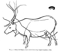 view M0004870: Line drawing of a deer, from Les Combarelles