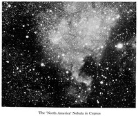 view M0006072: "North America" Nebula in Cygnus, from Macpherson: <i>Modern Cosmologies</i> (1929)