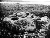 view M0006003: Killinagh Bullaun Stone (St Brigid's stones), Blacklion, County Cavan, Ireland