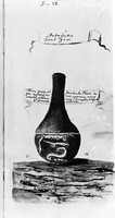 view M0005832: Alchemical conception of the reproduction of worms