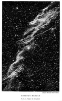 view M0006105: Caseous Nebula N.G.C.6992 in Cygnus, in Eddington: <i>New Pathways in Science</i> (1935)