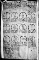 view M0007227: Manuscript page with 16 illustrations of foetus in utero