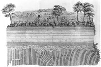 view M0006449: Geological formation in the valley of the Jed, Scotland, from Hutton: <i>Theory of the Earth</i> (1795)