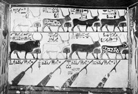 view M0006366: Egyptian tomb of Queen Nefertari