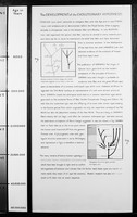 view M0006384: Wellcome Historical Medical Museum display: the evolution of the primates, right wing