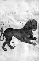 view M0007145: Manuscript illustration of Leo constellation