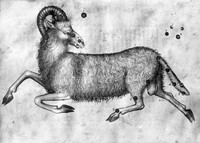 view M0007144: Manuscript illustration of Aries constellation