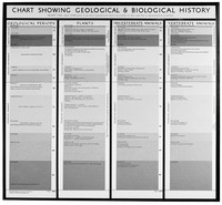 view M0006576: Wellcome Historical Medical Museum display: "Chart showing geological and biological history"