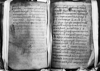 view M0007226: Manuscript pages on traditional medicine