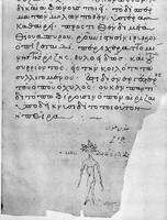 view M0007072: Manuscript illustration of a mandrake in <i>Codex Byzantinus</i>