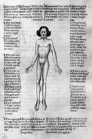 view M0007122: Page from an anatomical manuscript with illustration of the   'Phlebotomy Man'