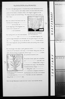 view M0006383: Wellcome Historical Medical Museum display: the evolution of the primates, left wing