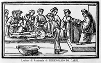 view M0007251: Illustration of anatomical dissection demonstration