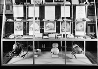 view M0006368: Lower section of a Wellcome Historical Medical Museum display case: "Theory of Prehistoric Cranial Trephination. Dr Wilson Parry Exhibition"