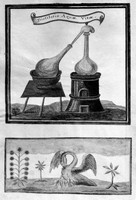 view M0007059: Manuscript illustrations depicting a still for the water of life and a swan with signets