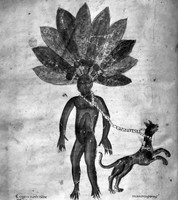 view M0007110: Manuscript illustration from <i>Medicina Antiqua</i> of a mandrake being uprooted by a dog