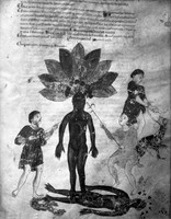 view M0007114: Page from <i>Medicina Antiqua</i> depicting a mandrake being attacked